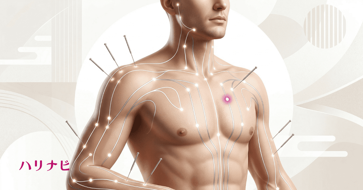 人体の血流・経絡のイラスト、鍼とツボの位置を示した男性の体の図